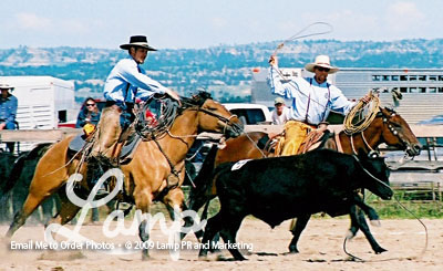 8CusterRanchRodeoJune09