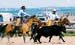8CusterRanchRodeoJune09