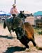 CusterRanchRodeoJune09_2