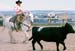 CusterRanchRodeoJune09_6