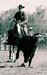 May09BLShorsecompetition