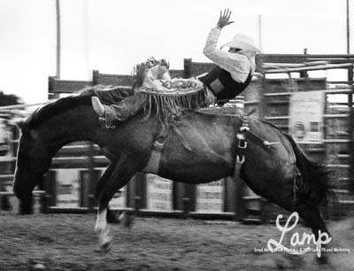 BarebackRider