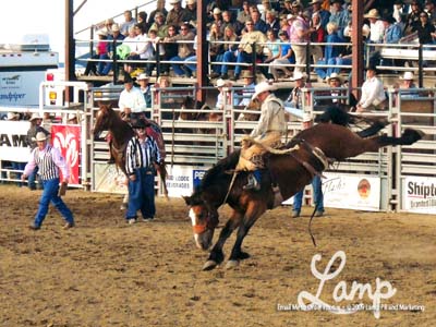 RedLodgeJuly3saddlebronc