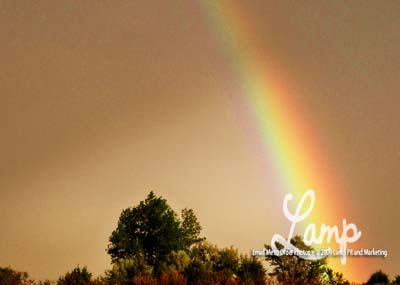 ThePromise
