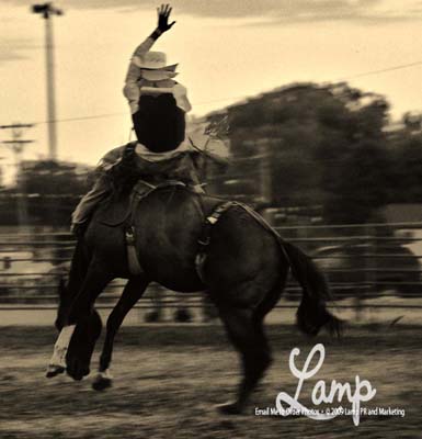 barebackriderpic2
