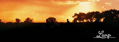 cowboysridingatsunset