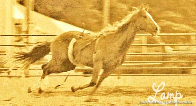 runawayhorse