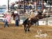 RedLodgeJuly3saddlebronc
