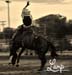 barebackriderpic2