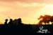 cowboysridingatsunsetpic5