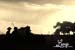 cowboysridingatsunsetpic6