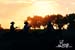 cowboysridingatsunsetpic7