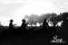 cowboysridingatsunsetpic8