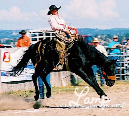 Pic25CusterRanchRodeoJune09