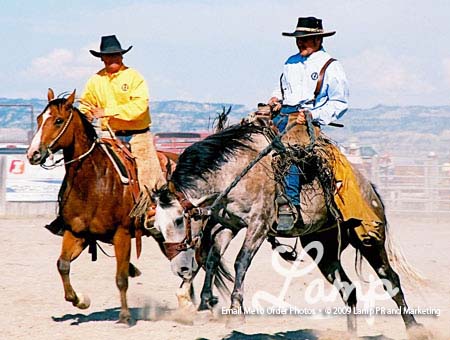 Pic27CusterRanchRodeoJune09