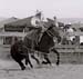 Pic22CusterRanchRodeoJune09