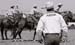 Pic23CusterRanchRodeoJune09