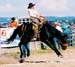 Pic25CusterRanchRodeoJune09
